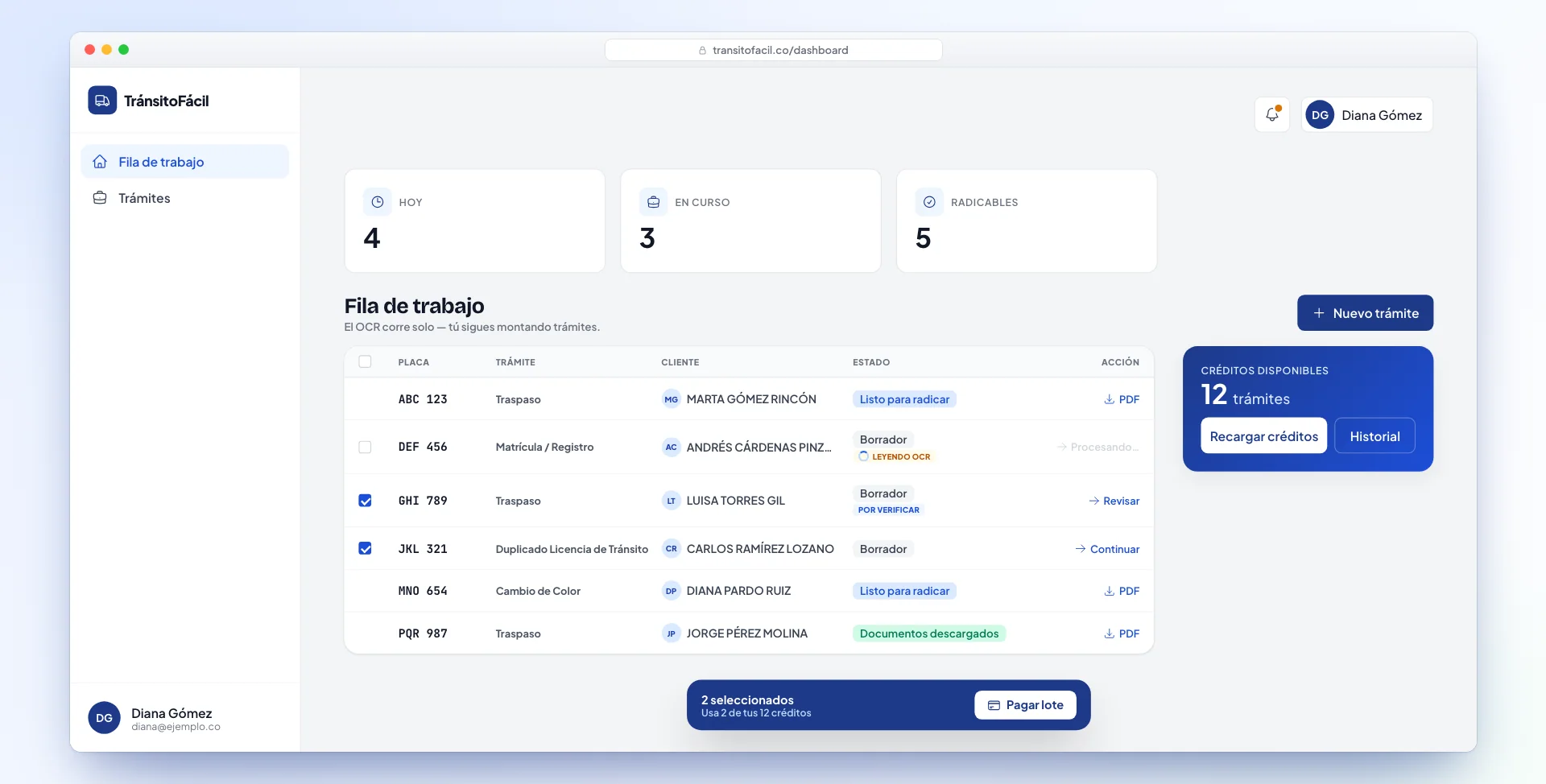 Professional work queue with statuses, credits, and batch payment